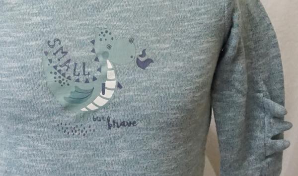 gefüttertes Sweatshirt Gr. 80 von Impidimpi (1842)